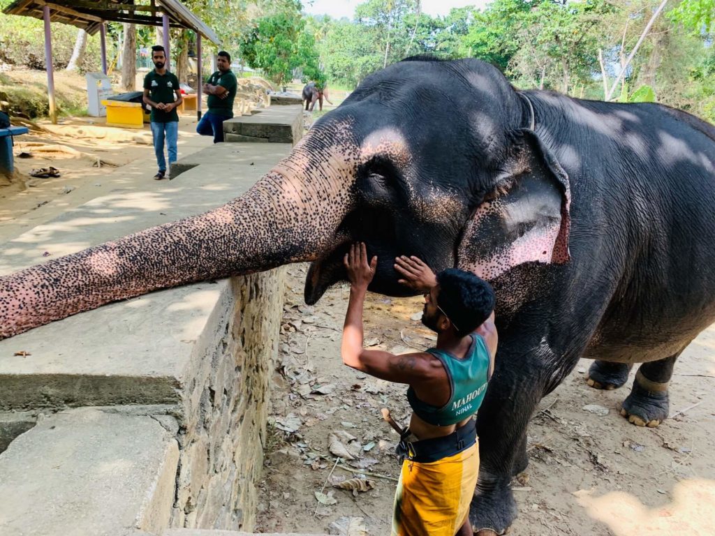 sri-lanka-ako-cestovat-adela-sen-probuzena